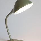Flexible Metal Gooseneck Desk Lamp By Erpé, Belgium 1930S thumbnail 11