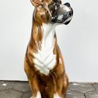 Keramiek Porseleinen Beeld Van Hond Boxer, 1970'S thumbnail 5