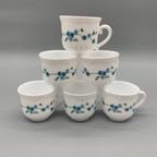 Set Arcopal Veronica Kopjes 6 Stuks thumbnail 3