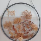 Vintage '70, Botanische Glaskunst. Gedroogde Bloemen En Planten. thumbnail 4