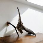 Vintage Xl Opgezette Roofvogel Op Tak Met Houder Muur thumbnail 2