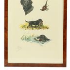 Kleuren Litho’s Boris Riab Jachthond Gesigneerd Kunst Paris thumbnail 3