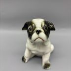 Porseleinen Engelse Buldog Pup thumbnail 3