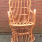 Vintage Fifties Bonacina Rotan Fauteuil/Pauwenstoel thumbnail 2