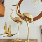 Grote Messing Kraanvogels Kraanvogels Vogels Vintage Prijs/Set thumbnail 8