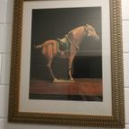 Deense G&C Interiors Wanddecoratie Kunst (Portretten Van Tan Paarden) thumbnail 5