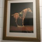 Deense G&C Interiors Wanddecoratie Kunst (Portretten Van Tang Paarden) thumbnail 4