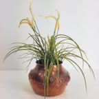 Art Deco Koper Plantenpot Zwaluwstaart Handmade Uniek 1920 thumbnail 3