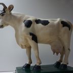 Oude Gipsen Model Van Koe Uit Slagerij, Beenhouwerij thumbnail 5