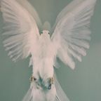 Damien Hirst, The Impossible Truth (detail) thumbnail 7