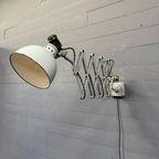 Zeldzame Lichtgrijze Rademacher Schaarlamp thumbnail 6