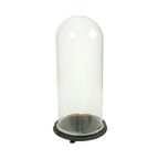 Antieke Stolp Globe Mondgeblazen Glas Begin 20ste Eeuw 46cm thumbnail 4