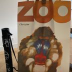 M.Mosinski (1936-1998), Zoo, 1968, Poster No 36, Official Limited Edition C.500, Printed 2019 thumbnail 2