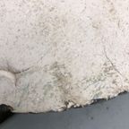 Bas-relief ‘apenkop’ In Keramiek thumbnail 6