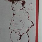 Picador thumbnail 8