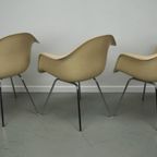 Set Of Three Parchment Fiberglass Dax Armchairs Eames For Herman Miller / Vitra thumbnail 20