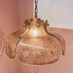 Bloem Hanglamp Met Rookglas Platen thumbnail 3