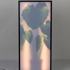 Zuiver Grow Vloerlamp Xxl thumbnail 2