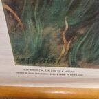 Antieke Schoolplaat Schoolkaart Noordzee Wolters thumbnail 4