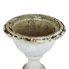 Unieke Grote Tuinvaas Bloembak Tuin Beton Art Deco Xxl Frankrijk 65Cm thumbnail 8