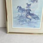 Vintage Anni Moller Vogel Prent Schilderij thumbnail 3