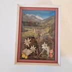 Vintage Lijstje Tirol Edelweiss Droogbloemen Schilderij thumbnail 3