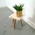 Bijzettafel Met Bruin Beige Tegel Blad Nr. 8 Plantentafel thumbnail 5