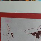 Picador thumbnail 10