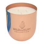 Wild Luxury Collection Handgegoten Sojawas Geurkaars Whitsunday Islands 1000G thumbnail 5