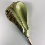 Antiek Botanisch Model ‘de Grove Den’ – Brendel thumbnail 8