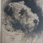 Kurt Peiser (1887-1962) Hond. thumbnail 4