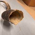 2x Grote Bufferhoorns, Ong. 100cm Lang Elk thumbnail 10