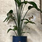 Industriele Bloempot Groot Blauw Patina Bovenkant thumbnail 3