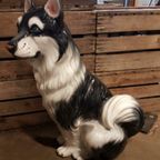 Porselein Beeld Husky Palladio Italy thumbnail 5