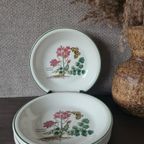 Florabunda Wedgwood Diepe Borden thumbnail 2