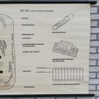 Schoolplaat - De Cel (Elektronenmicroscopisch) thumbnail 5