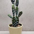 West Germany Bloempot thumbnail 3