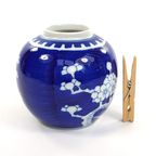 Chinees Gemberpotje Blauw/Wit Kersenbloesem Prunus thumbnail 3