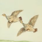Maurice Brailly Franse Spaniël Hond Vogels Vintage Grafiek 1972 thumbnail 4