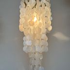 Vintage 60’S Capiz Schelpen Hanglamp Parelmoer Schelpen Opaline Schelp Lamp thumbnail 4