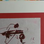 Picador thumbnail 11