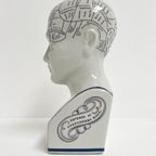 Keramieken 30 Cm Hoge Phrenology Hoofd, 1990’S thumbnail 11