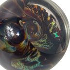 Glass Eye Studio 11 (Ges 11) - Presse Papier / Paperweight - American Made, Signed Piece thumbnail 6