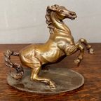 Verzamelset Van 10 Paardenbeeldjes - 10 St. thumbnail 18