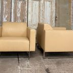 Mare Artifort Fauteuils (4x) - Design Klassiekers. Leder. thumbnail 5