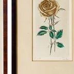 Paar Tjitske Elisabeth Modderman Litho Schilderijen Rozen thumbnail 7