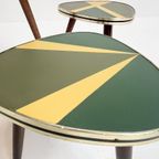 Set Van 3 Gerestaureerde Plantentafels Uit Frankrijk, 1960's thumbnail 9