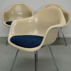 Set Van 3 Fiberglass Dax Armchairs Eames For Herman Miller / Vitra thumbnail 7