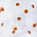 Polspotten Pitcher thumbnail 3