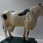 Oude Gipsen Model Van Koe Uit Slagerij, Beenhouwerij thumbnail 12